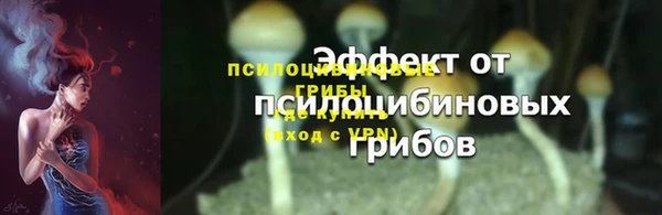 эйфоретик Михайлов