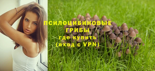 эйфоретик Михайлов