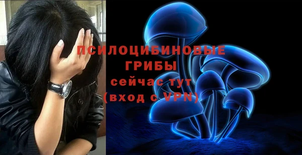 эйфоретик Михайлов