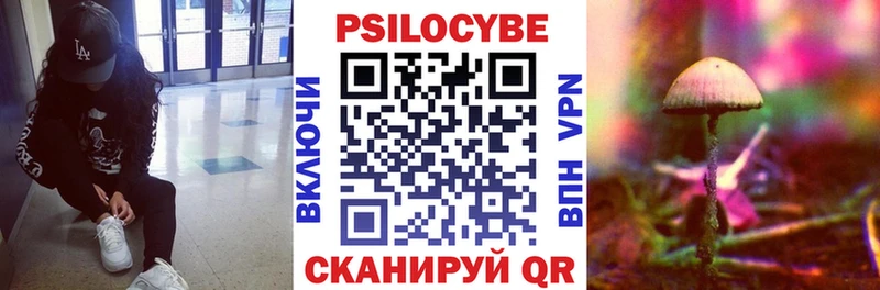 Псилоцибиновые грибы прущие грибы  Купить закладки  Ахтырский 