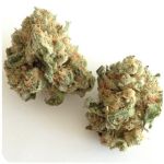 Шишки "White Widow"  (Белая вдова)  Гидропоника -  Бошка VHQ в Ахтырском